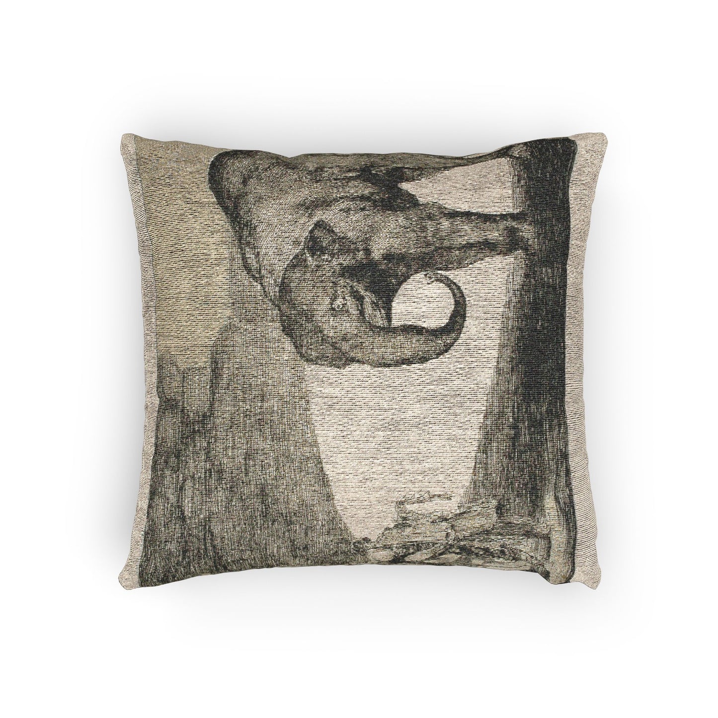 Francisco José de Goya y Lucientes - Animal Folly, from Disparates | Woven Pillow