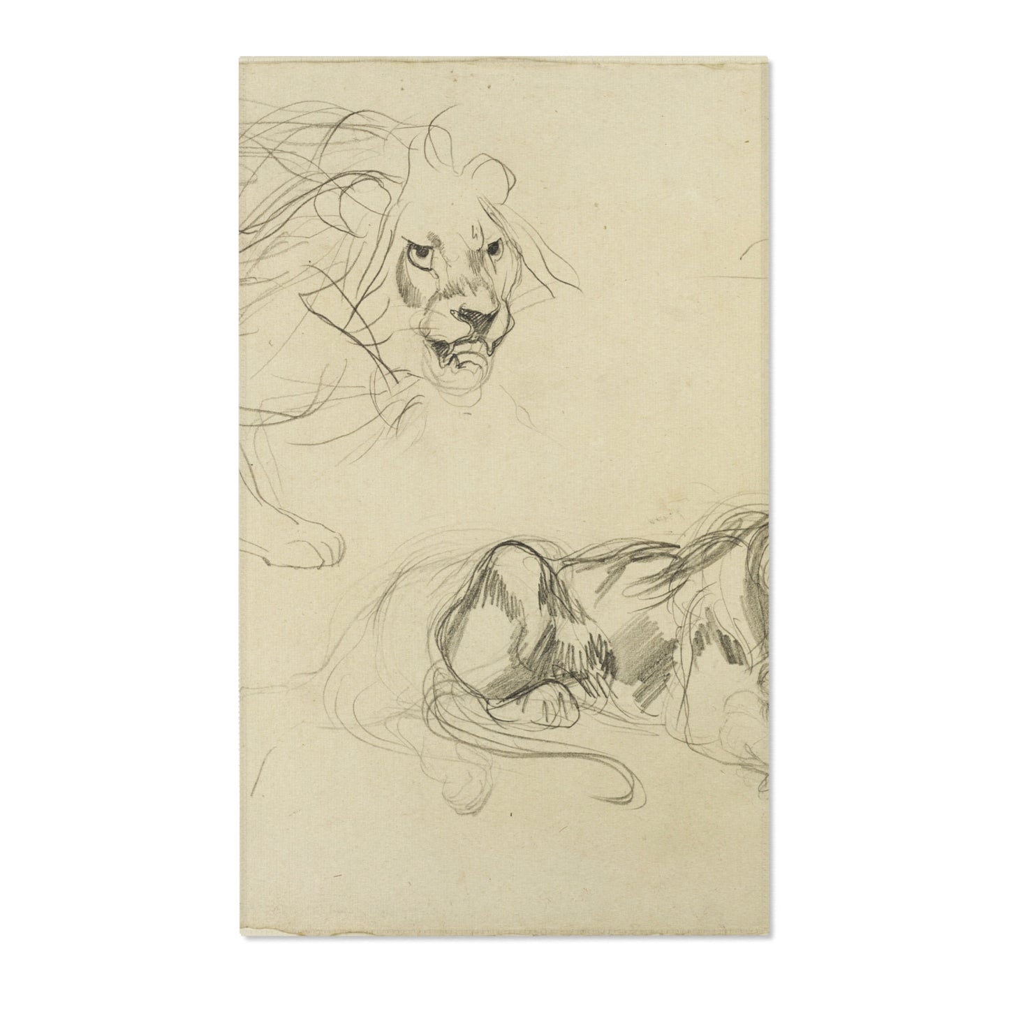Eugène Delacroix - Studies of Lions | Area Rug