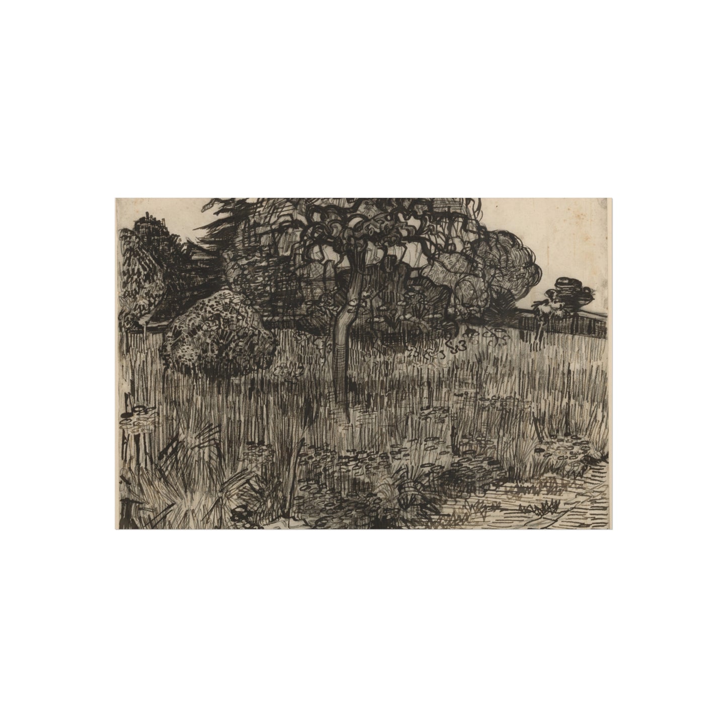 Vincent van Gogh - Weeping Tree | Fine Art Poster