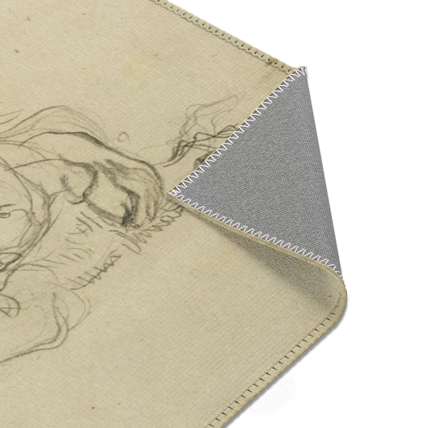 Eugène Delacroix - Studies of Lions | Area Rug