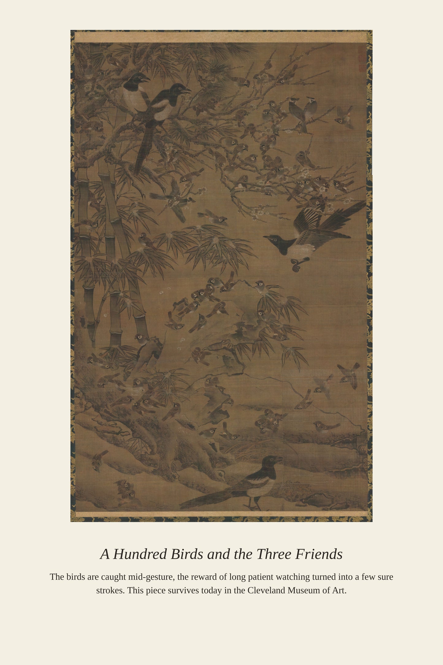 A Hundred Birds and the Three Friends - Antique Natural History Print