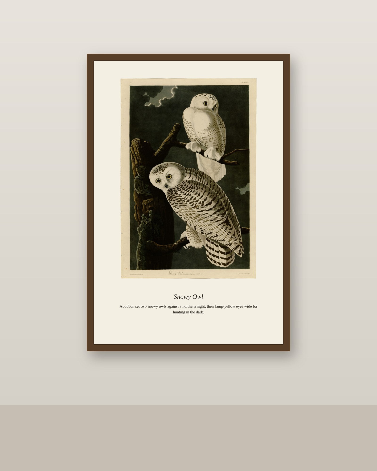 Audubon Snowy Owl antique bird print shown framed on a wall in a styled room