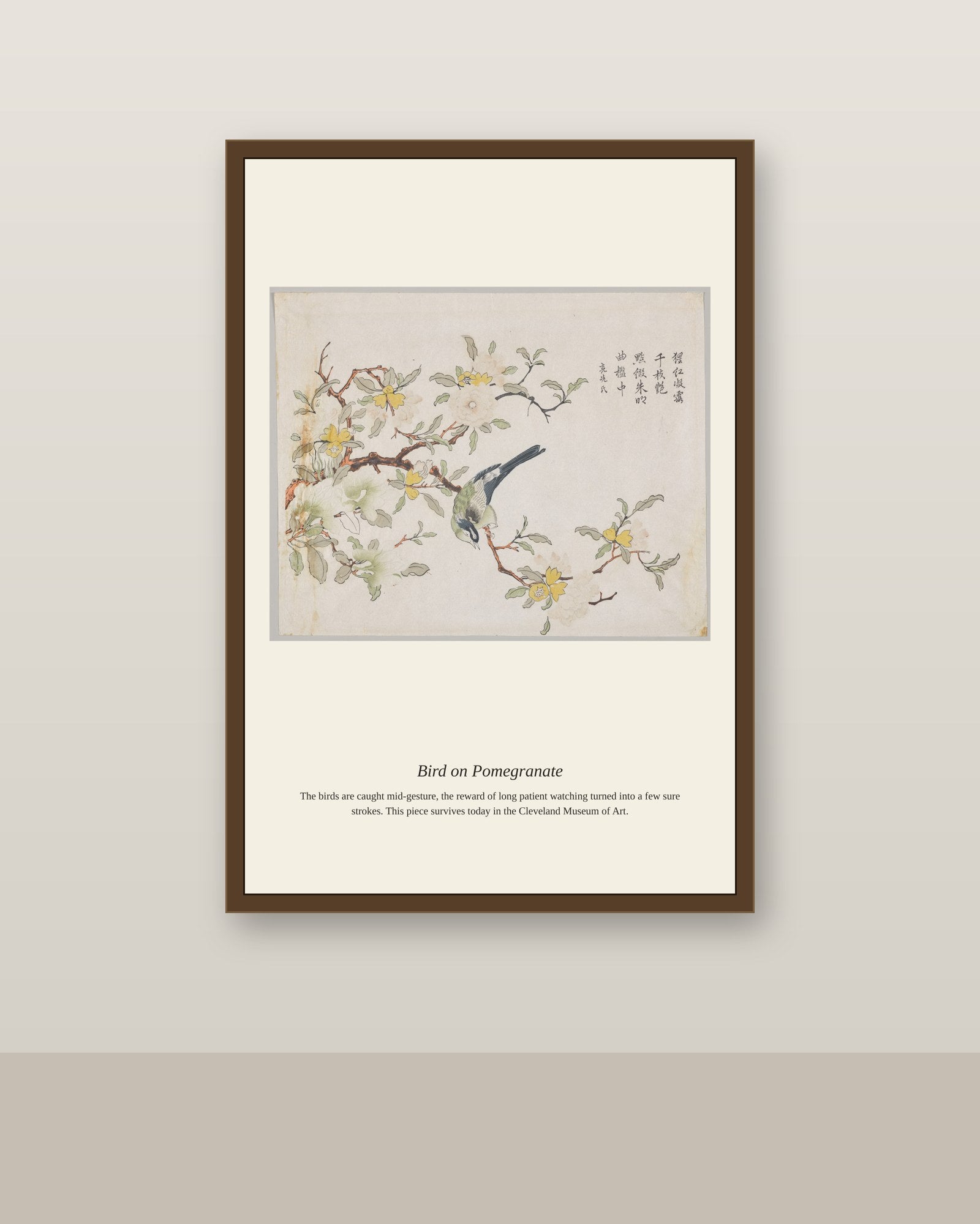 Bird on Pomegranate antique natural history print shown framed on a wall in a styled room