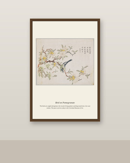 Bird on Pomegranate antique natural history print shown framed on a wall in a styled room