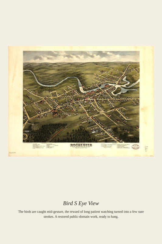 Bird's Eye View - Antique Map Print