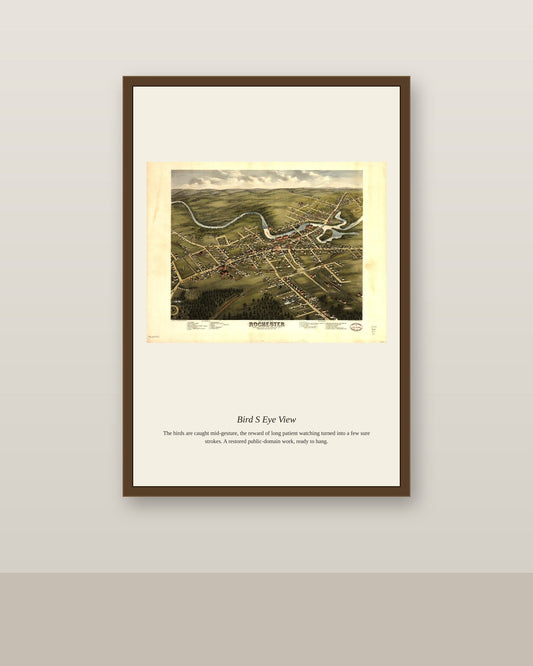 Bird's Eye View antique map print shown framed on a wall in a styled room