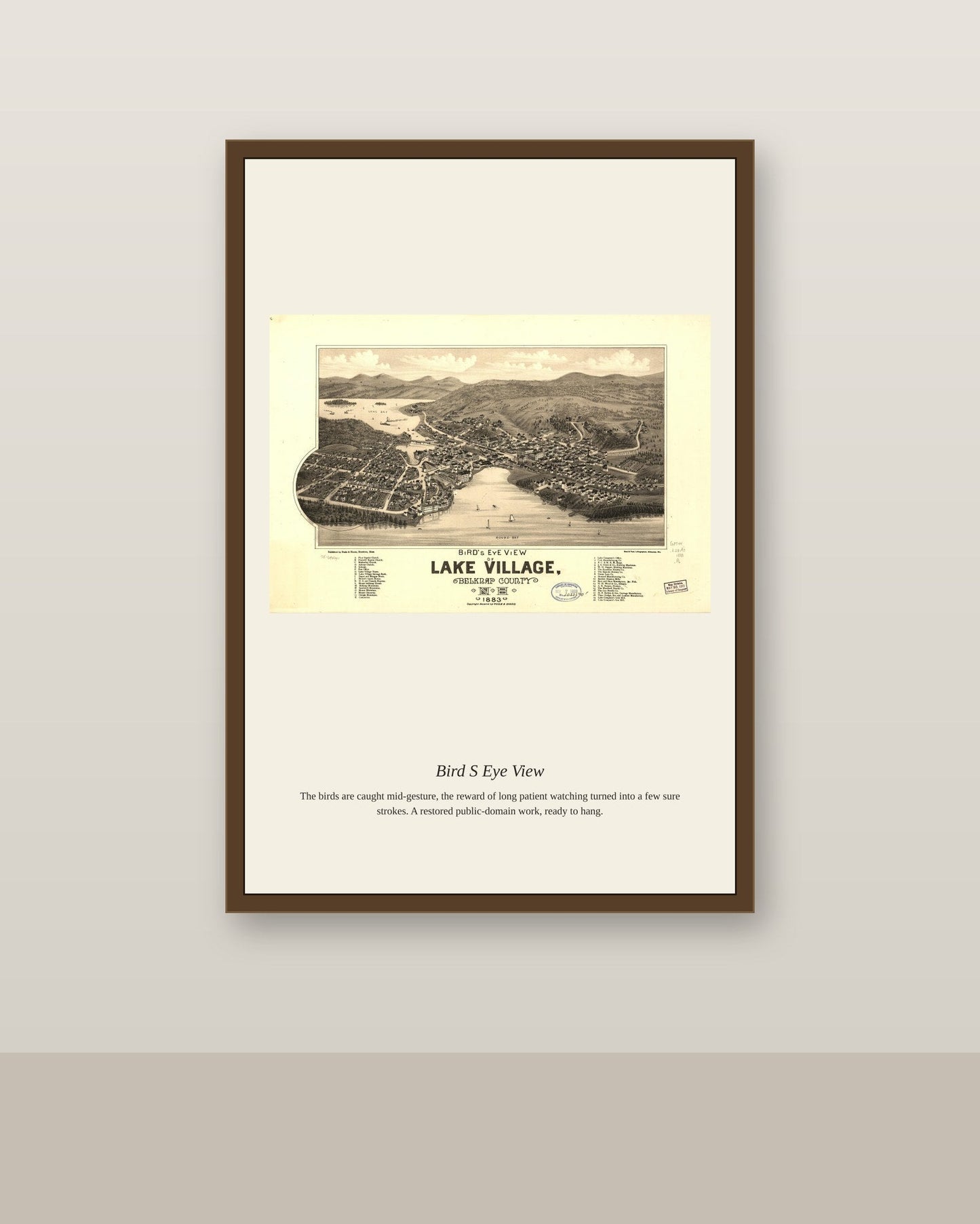 Bird's Eye View (10) antique map print shown framed on a wall in a styled room