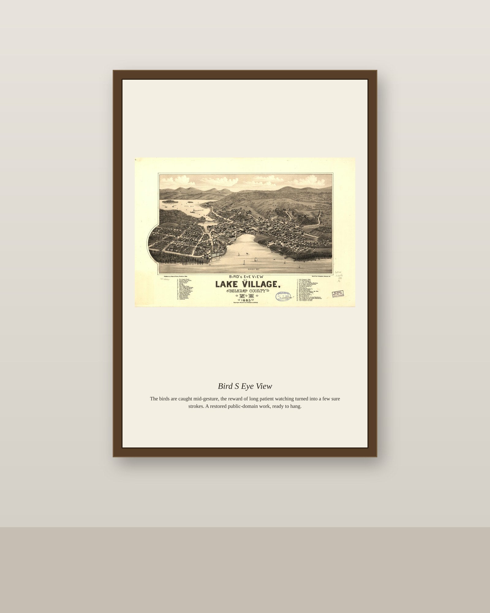 Bird's Eye View (10) antique map print shown framed on a wall in a styled room