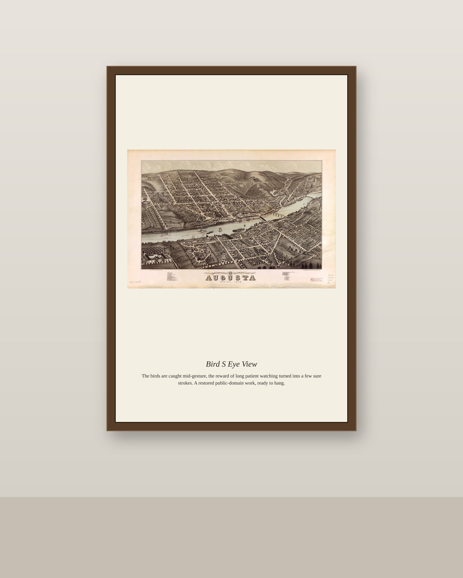 Bird's Eye View (11) antique map print shown framed on a wall in a styled room