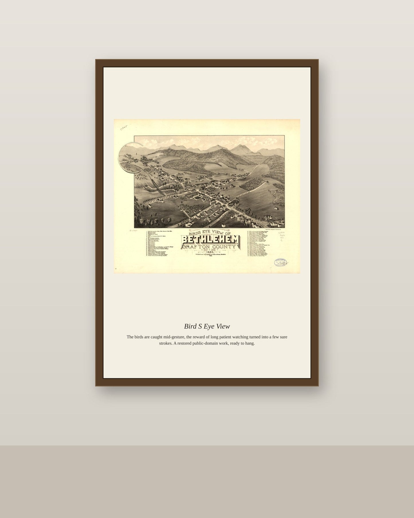 Bird's Eye View (12) antique map print shown framed on a wall in a styled room
