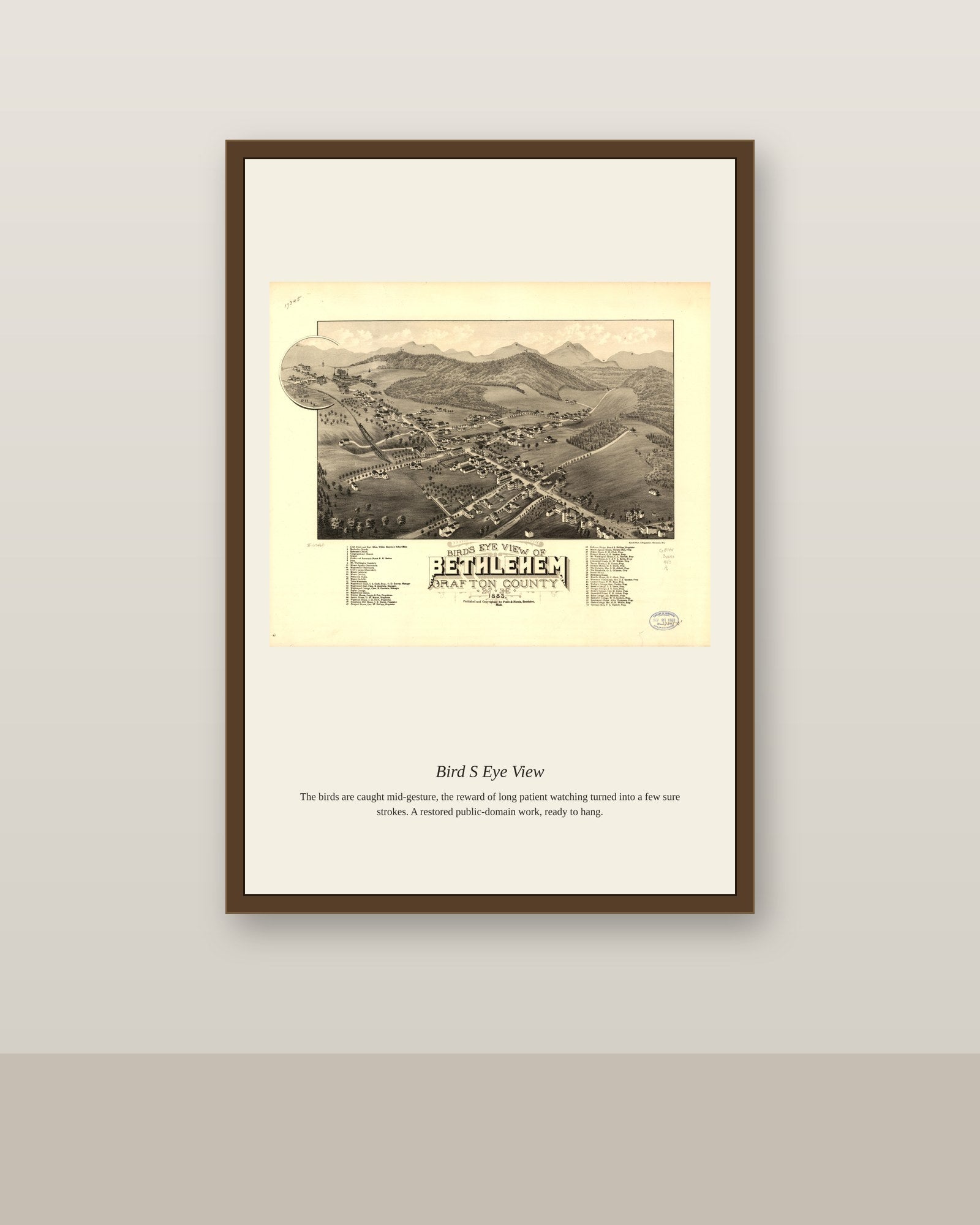 Bird's Eye View (12) antique map print shown framed on a wall in a styled room