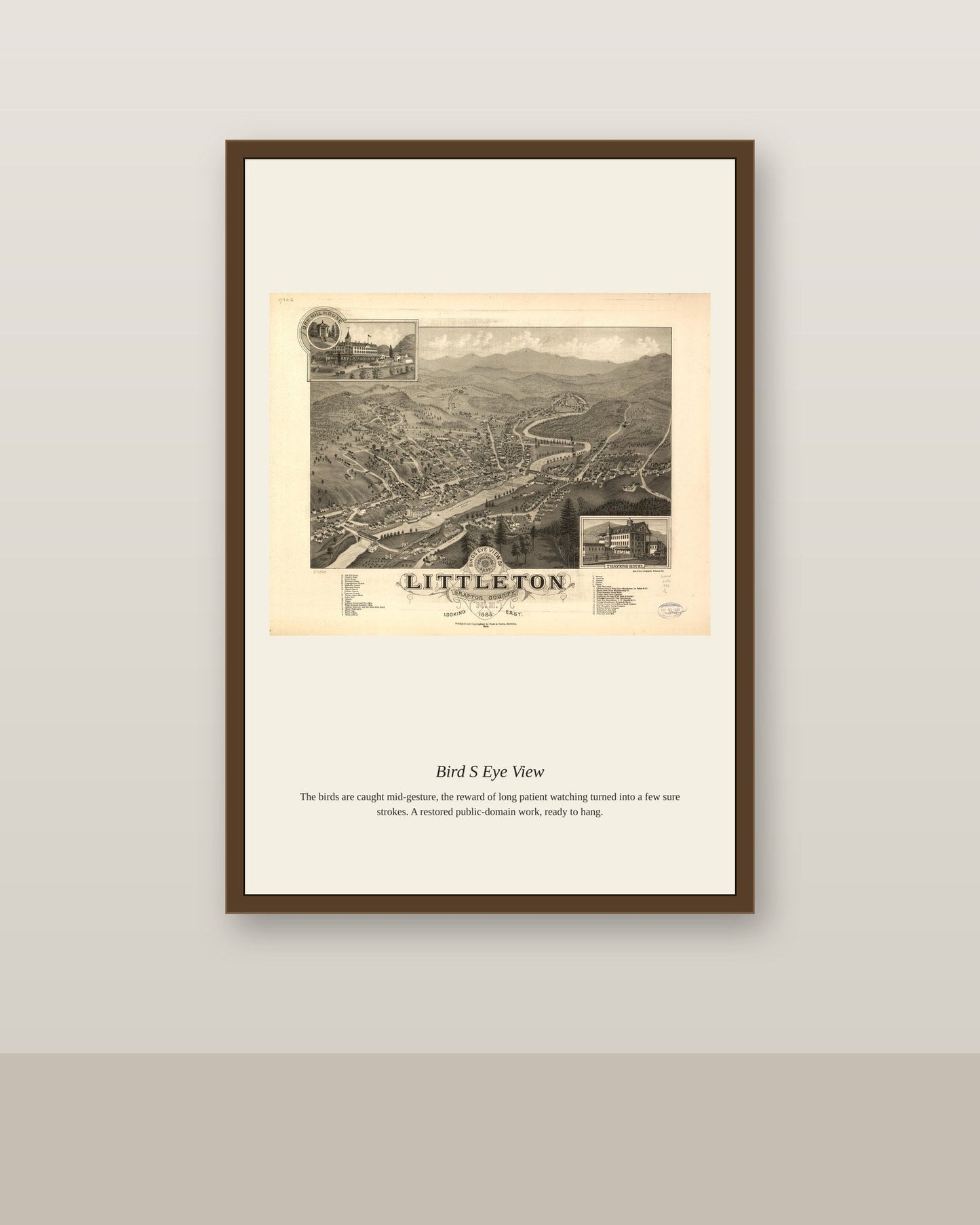 Bird's Eye View (13) antique map print shown framed on a wall in a styled room