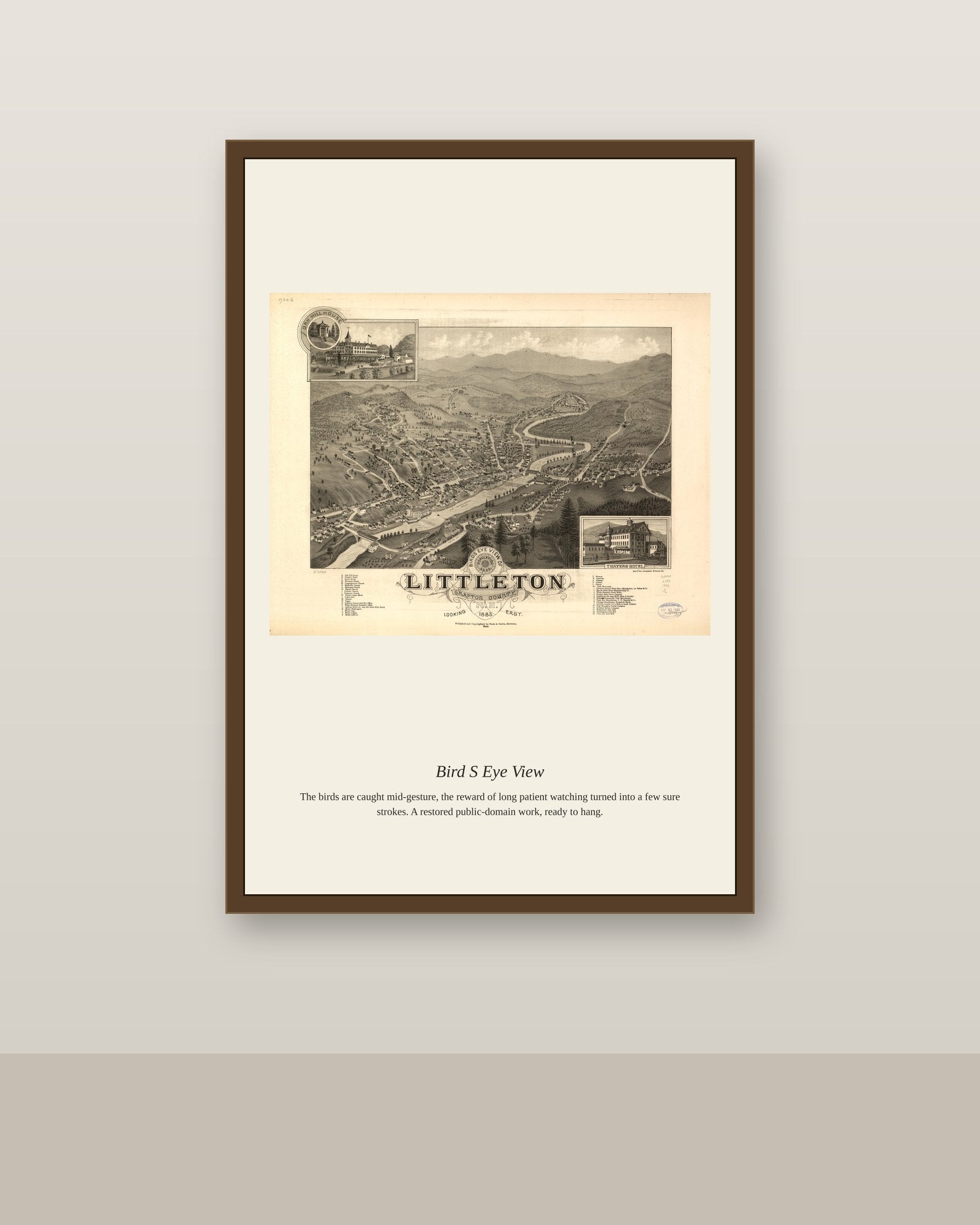 Bird's Eye View (13) antique map print shown framed on a wall in a styled room