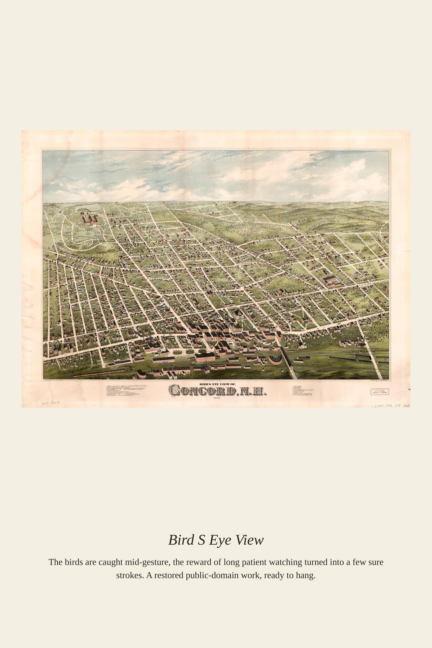 Bird's Eye View (2) - Antique Map Print