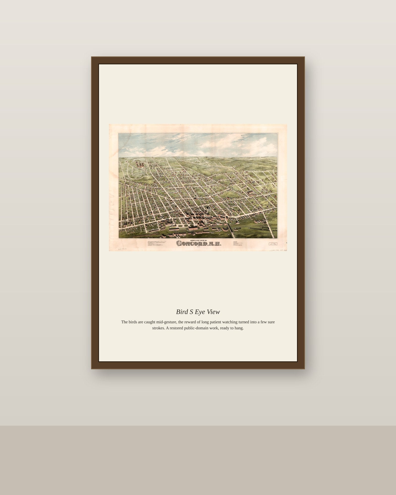 Bird's Eye View (2) antique map print shown framed on a wall in a styled room