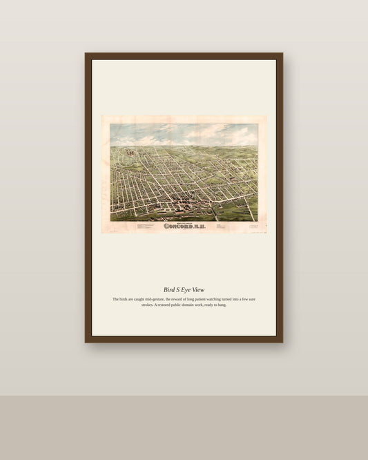 Bird's Eye View (2) antique map print shown framed on a wall in a styled room