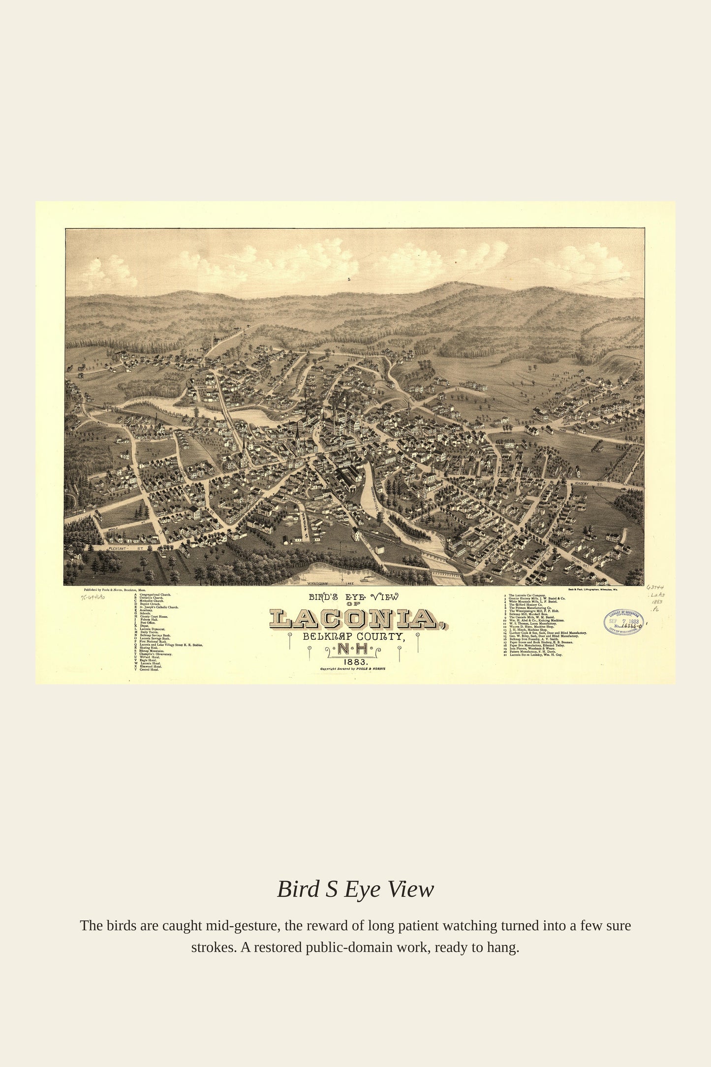 Bird's Eye View (3) - Antique Map Print