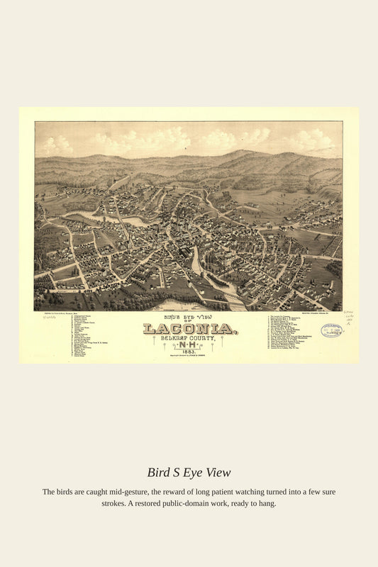 Bird's Eye View (3) - Antique Map Print