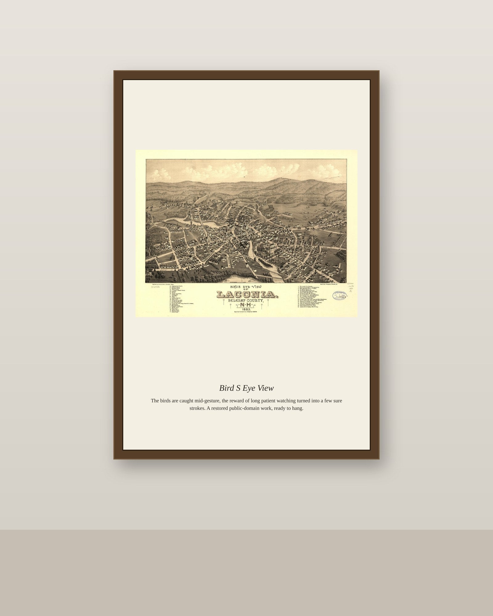 Bird's Eye View (3) antique map print shown framed on a wall in a styled room