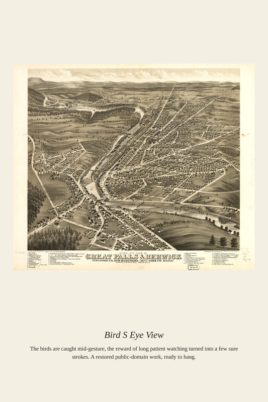 Bird's Eye View (4) - Antique Map Print