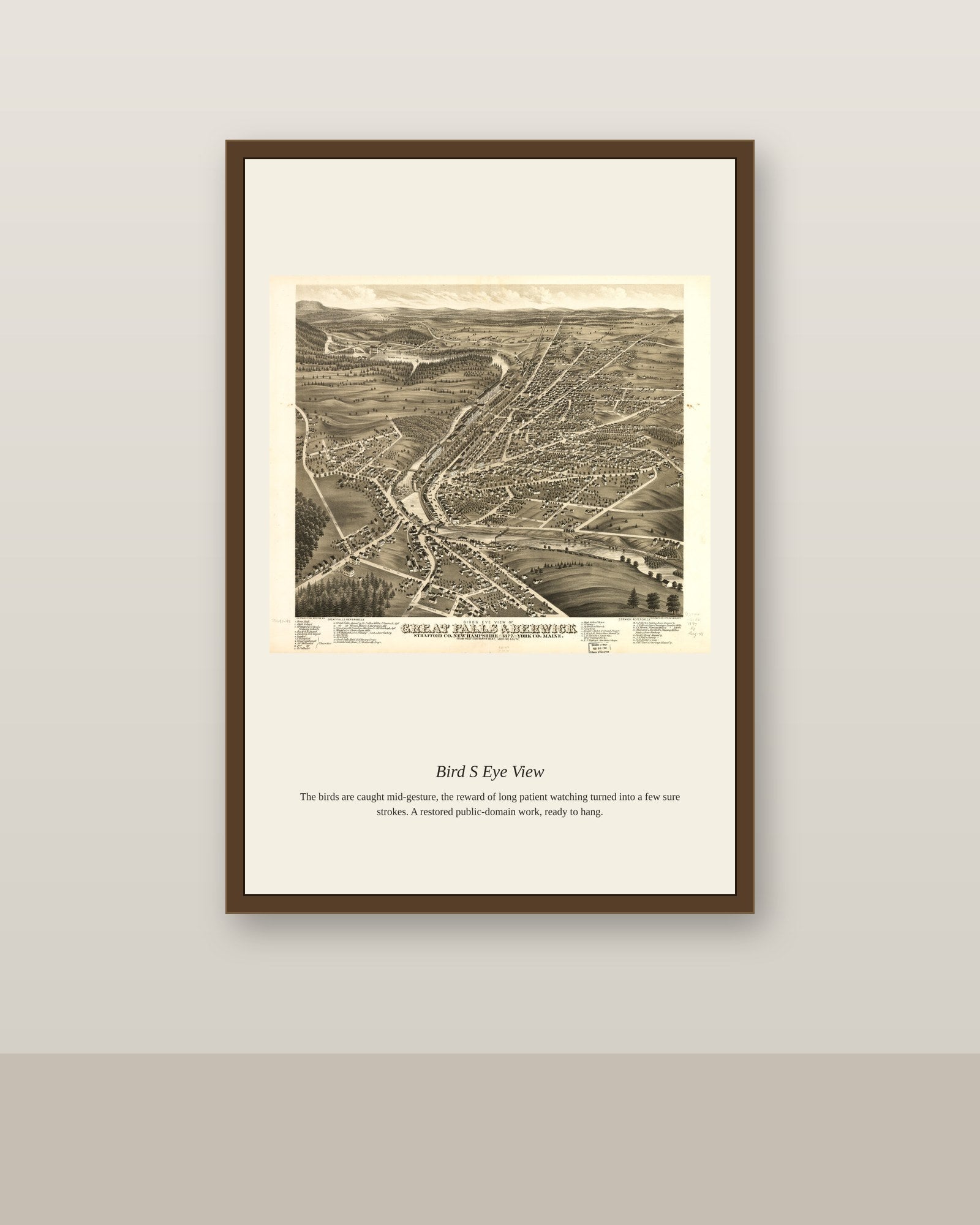 Bird's Eye View (4) antique map print shown framed on a wall in a styled room