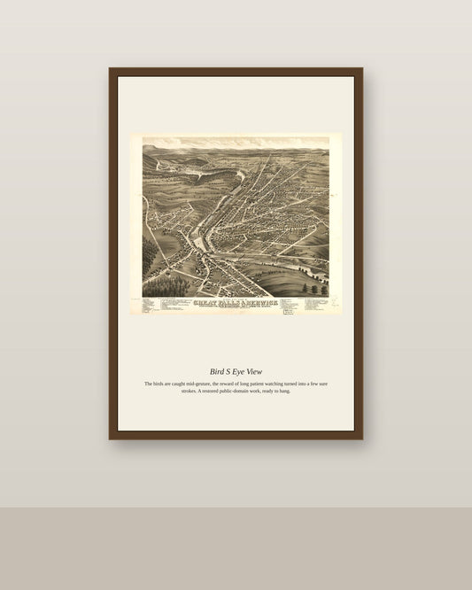 Bird's Eye View (4) antique map print shown framed on a wall in a styled room