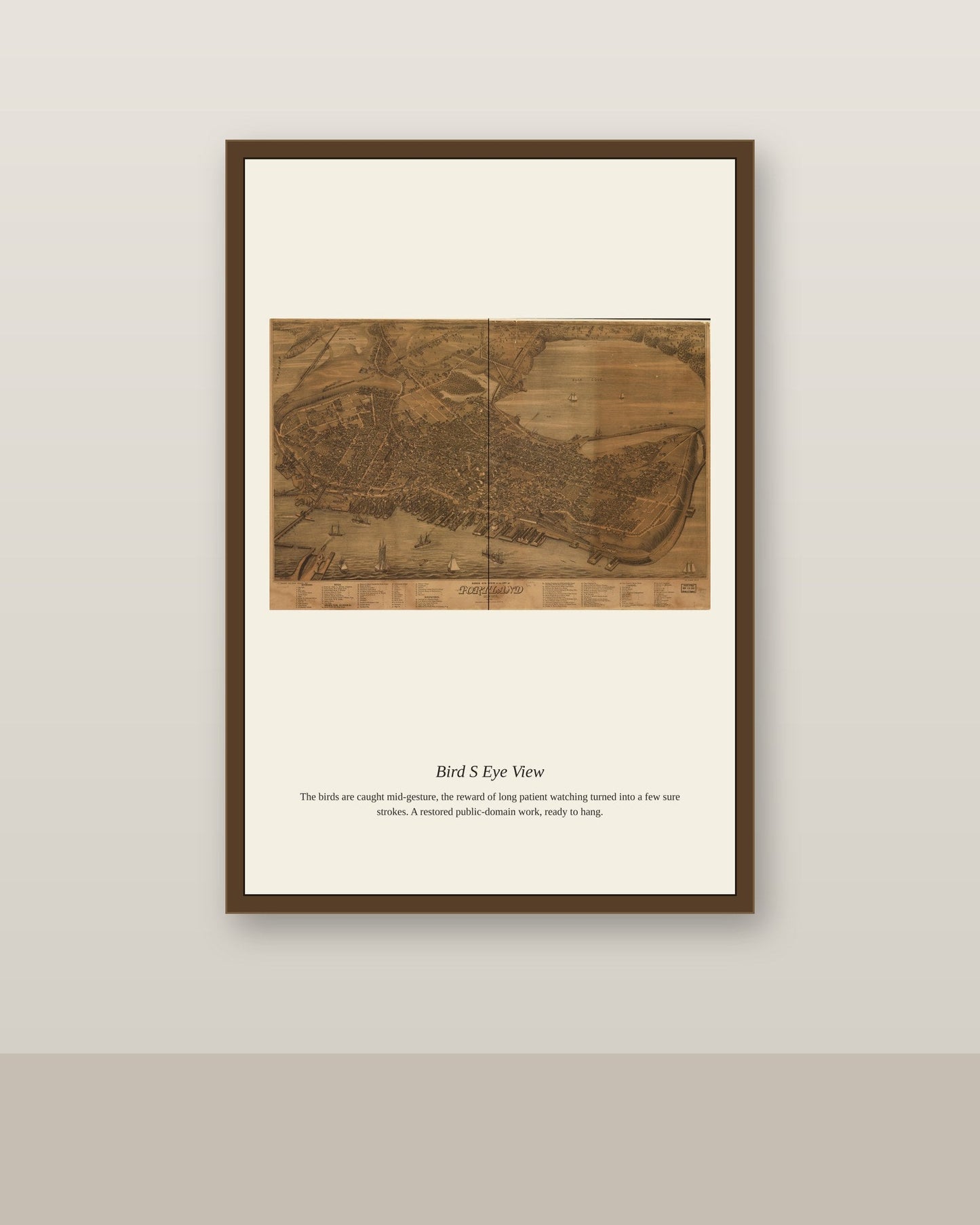 Bird's Eye View (5) antique map print shown framed on a wall in a styled room