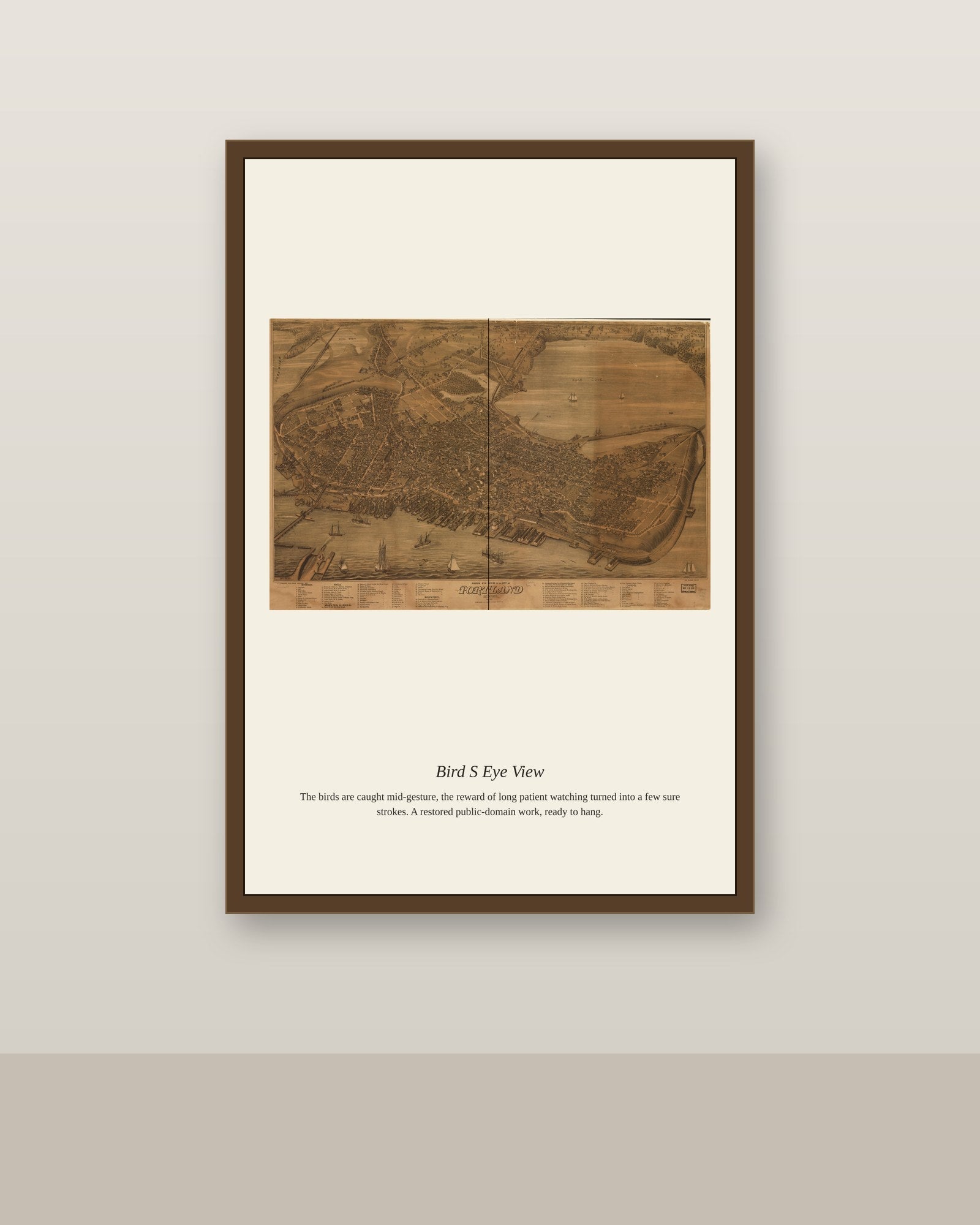 Bird's Eye View (5) antique map print shown framed on a wall in a styled room