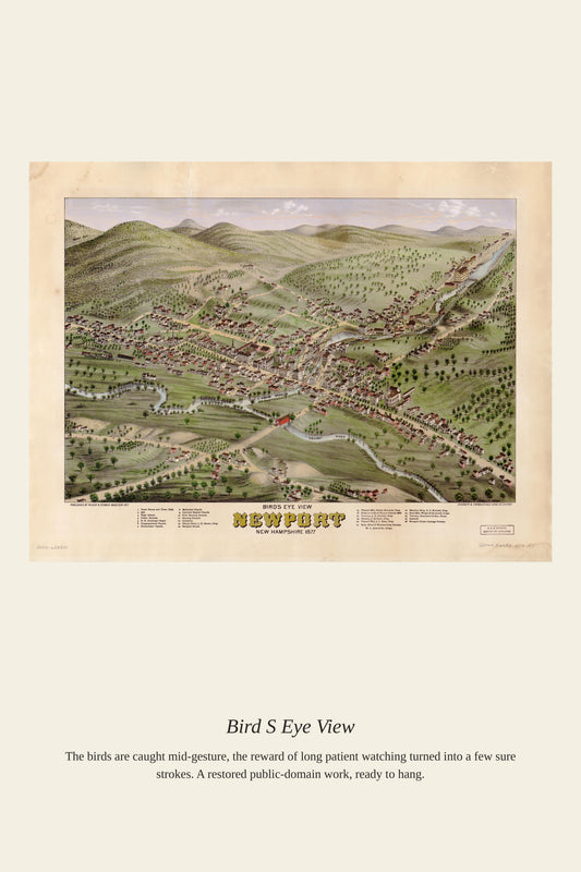 Bird's Eye View (6) - Antique Map Print