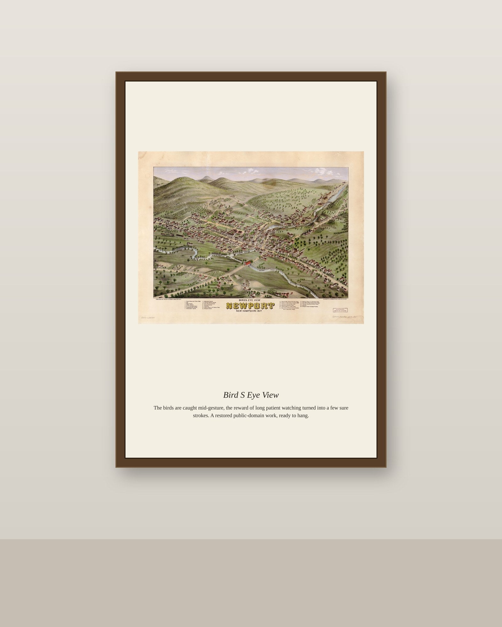 Bird's Eye View (6) antique map print shown framed on a wall in a styled room