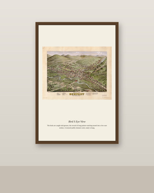 Bird's Eye View (6) antique map print shown framed on a wall in a styled room