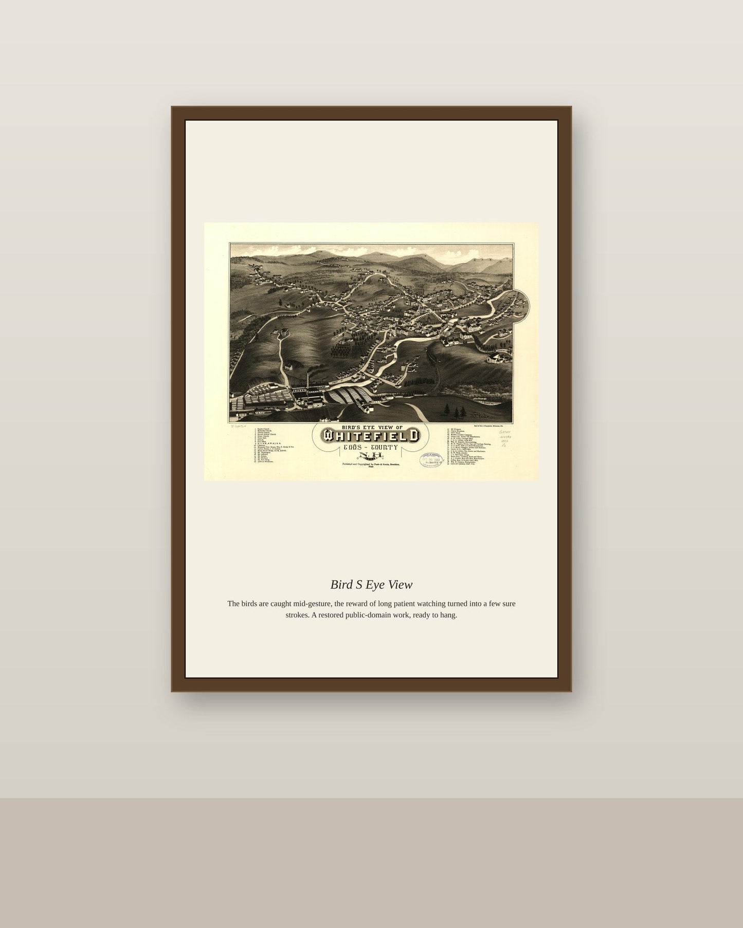 Bird's Eye View (7) antique map print shown framed on a wall in a styled room