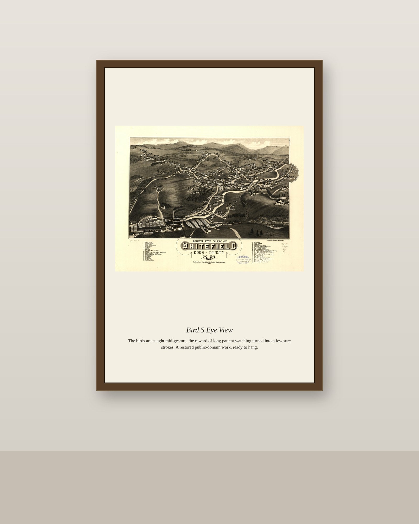 Bird's Eye View (7) antique map print shown framed on a wall in a styled room