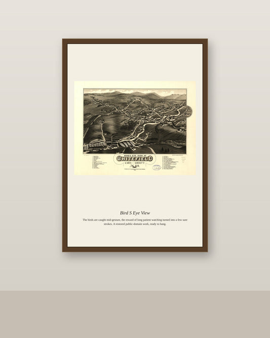 Bird's Eye View (7) antique map print shown framed on a wall in a styled room