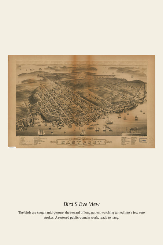 Bird's Eye View (8) - Antique Map Print