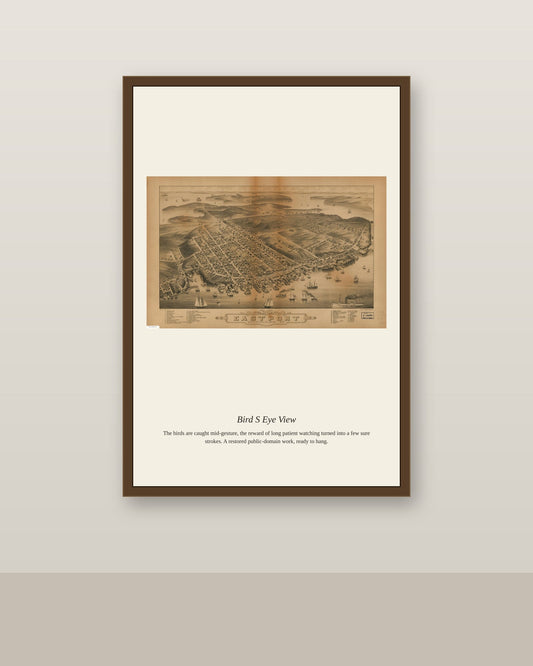 Bird's Eye View (8) antique map print shown framed on a wall in a styled room
