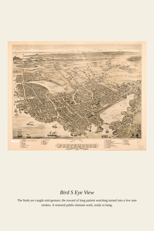 Bird's Eye View (9) - Antique Map Print