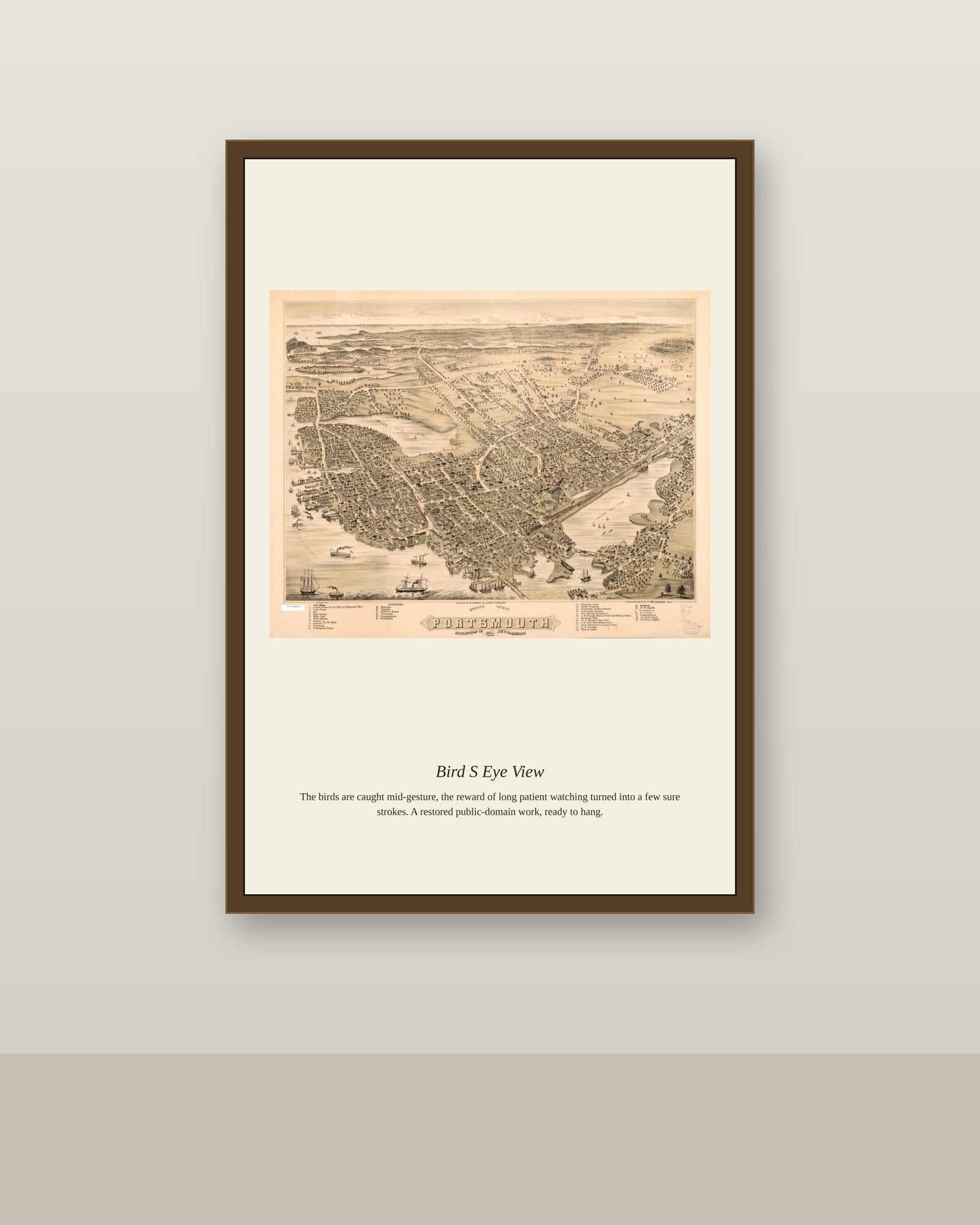 Bird's Eye View (9) antique map print shown framed on a wall in a styled room