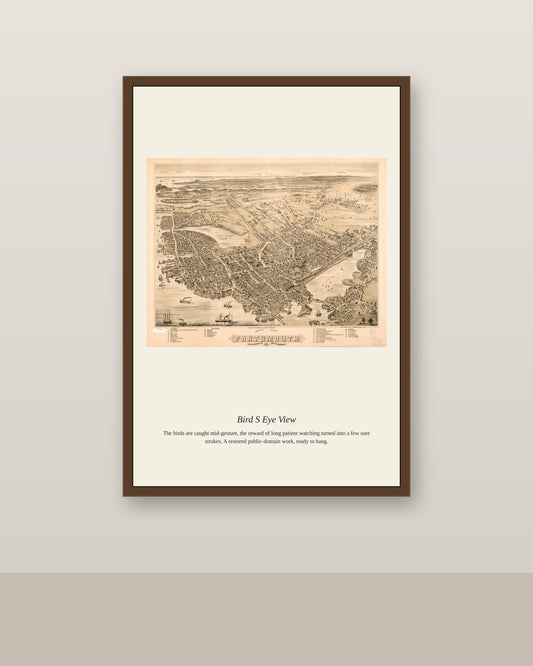 Bird's Eye View (9) antique map print shown framed on a wall in a styled room