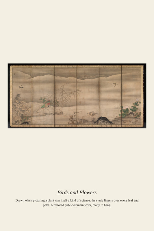 Birds and Flowers (3) - Antique Botanical Print
