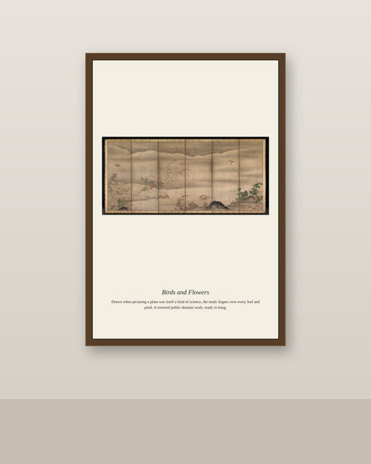 Birds and Flowers (3) antique botanical print shown framed on a wall in a styled room