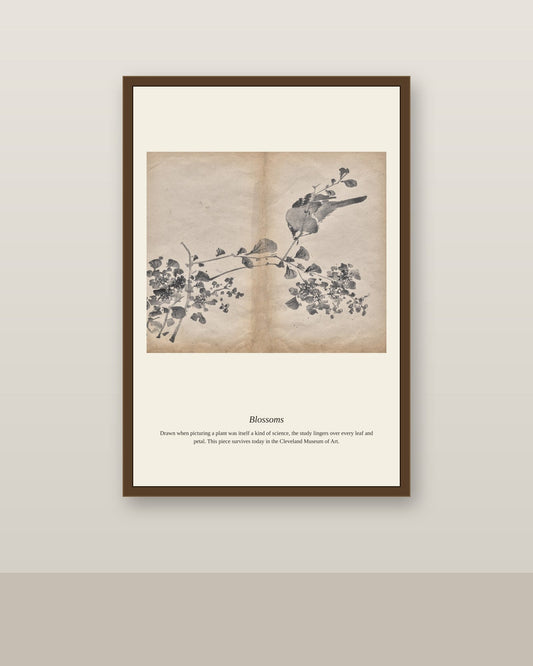 Blossoms antique botanical print shown framed on a wall in a styled room