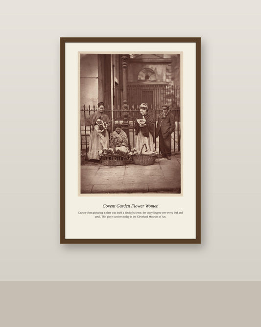 Covent Garden Flower Women antique botanical print shown framed on a wall in a styled room