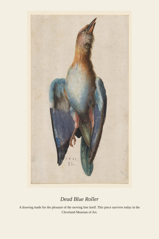 Dead Blue Roller - Antique Asian Art Print