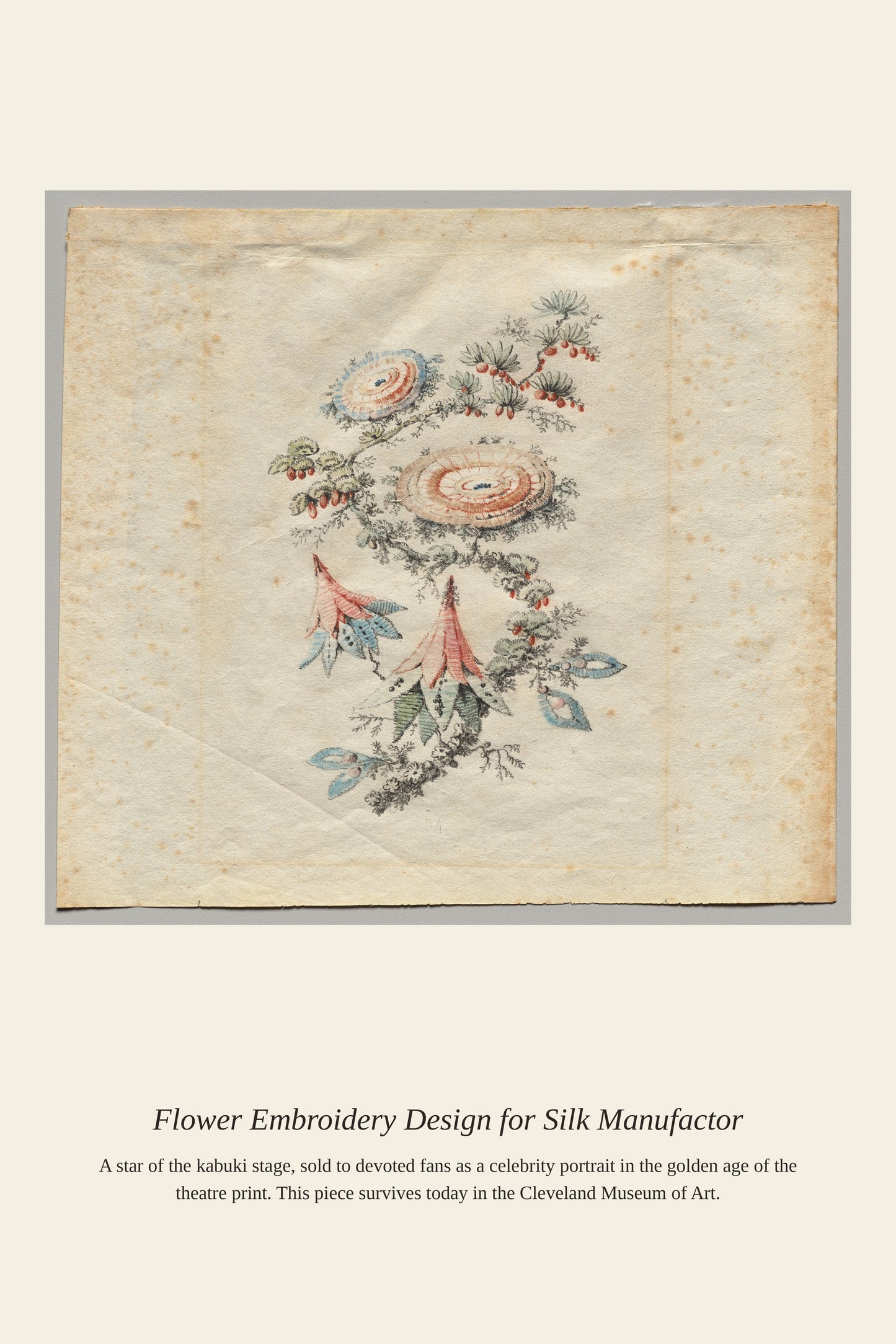 Flower Embroidery Design for Silk Manufactor - Antique Botanical Print
