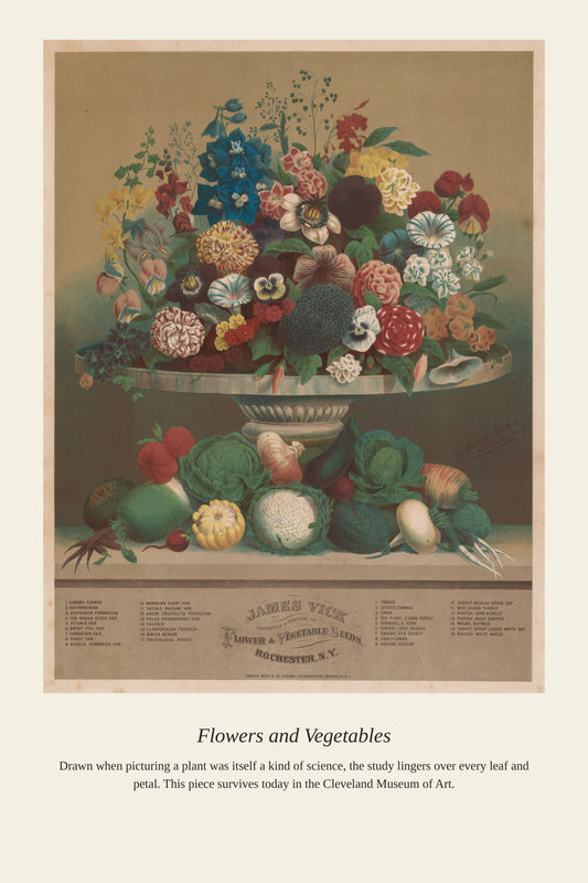 Flowers and Vegetables antique botanical print, Victorian chromolithograph with urn of mixed blooms above vegetables