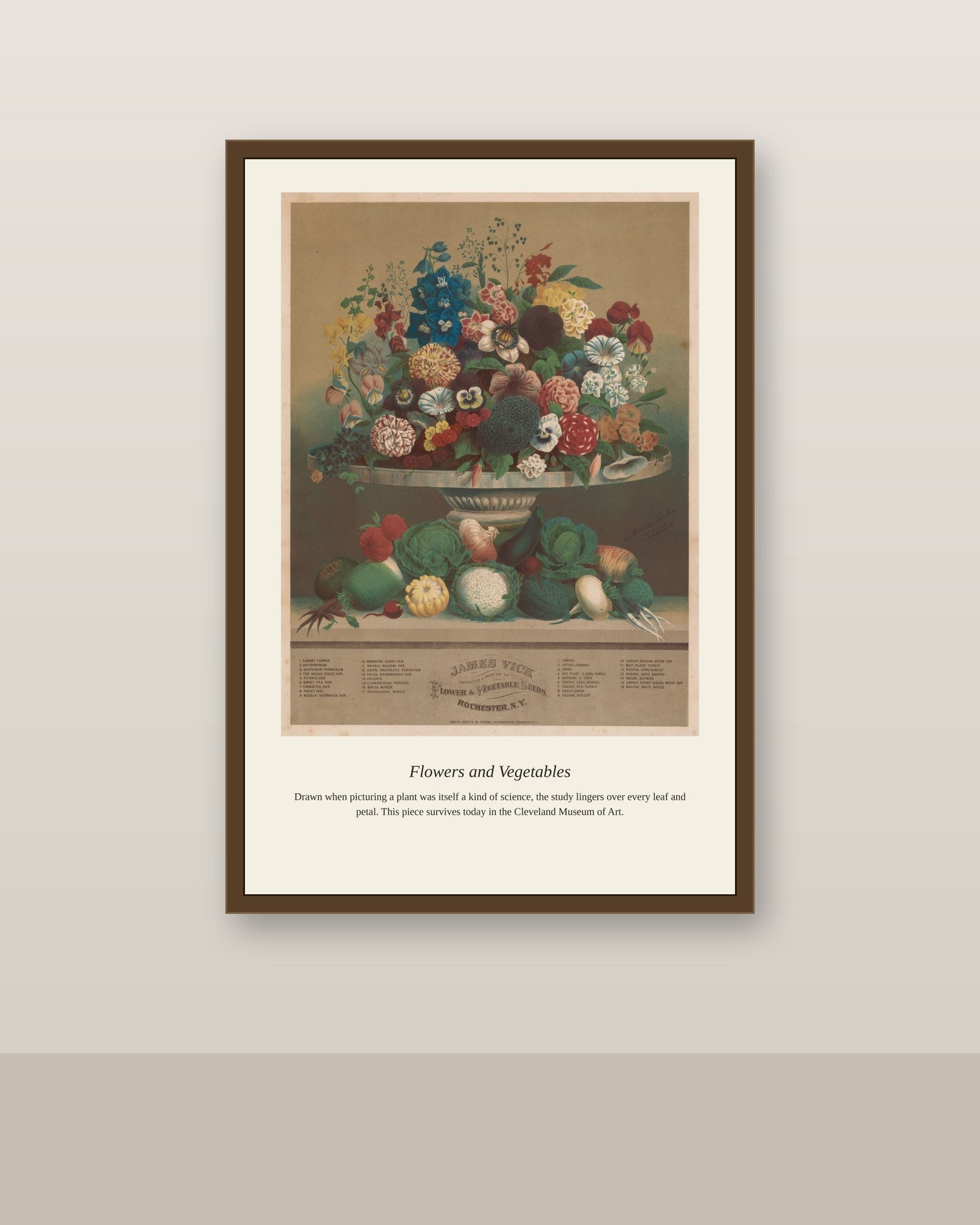 Flowers and Vegetables antique botanical print shown framed on a wall in a styled room