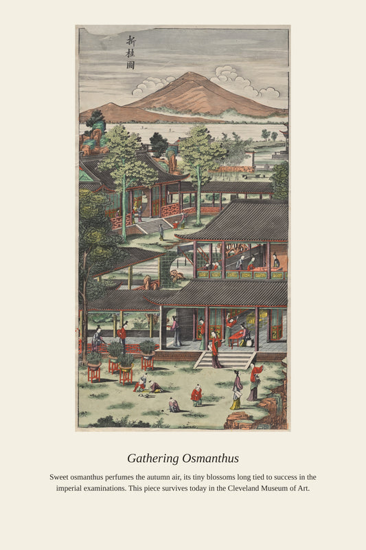 Gathering Osmanthus antique botanical print, Chinese courtyard pavilion scene with figures, terracotta mountain, green trees