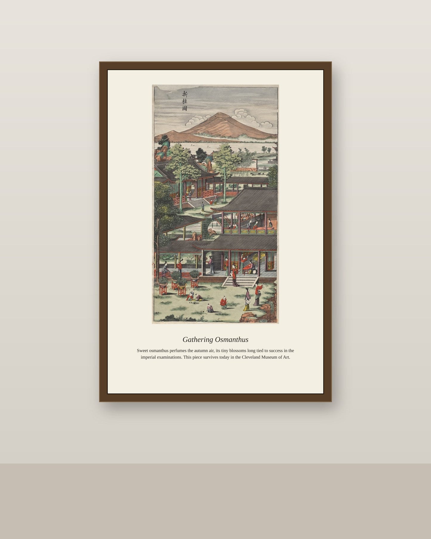 Gathering Osmanthus antique botanical print shown framed on a wall in a styled room