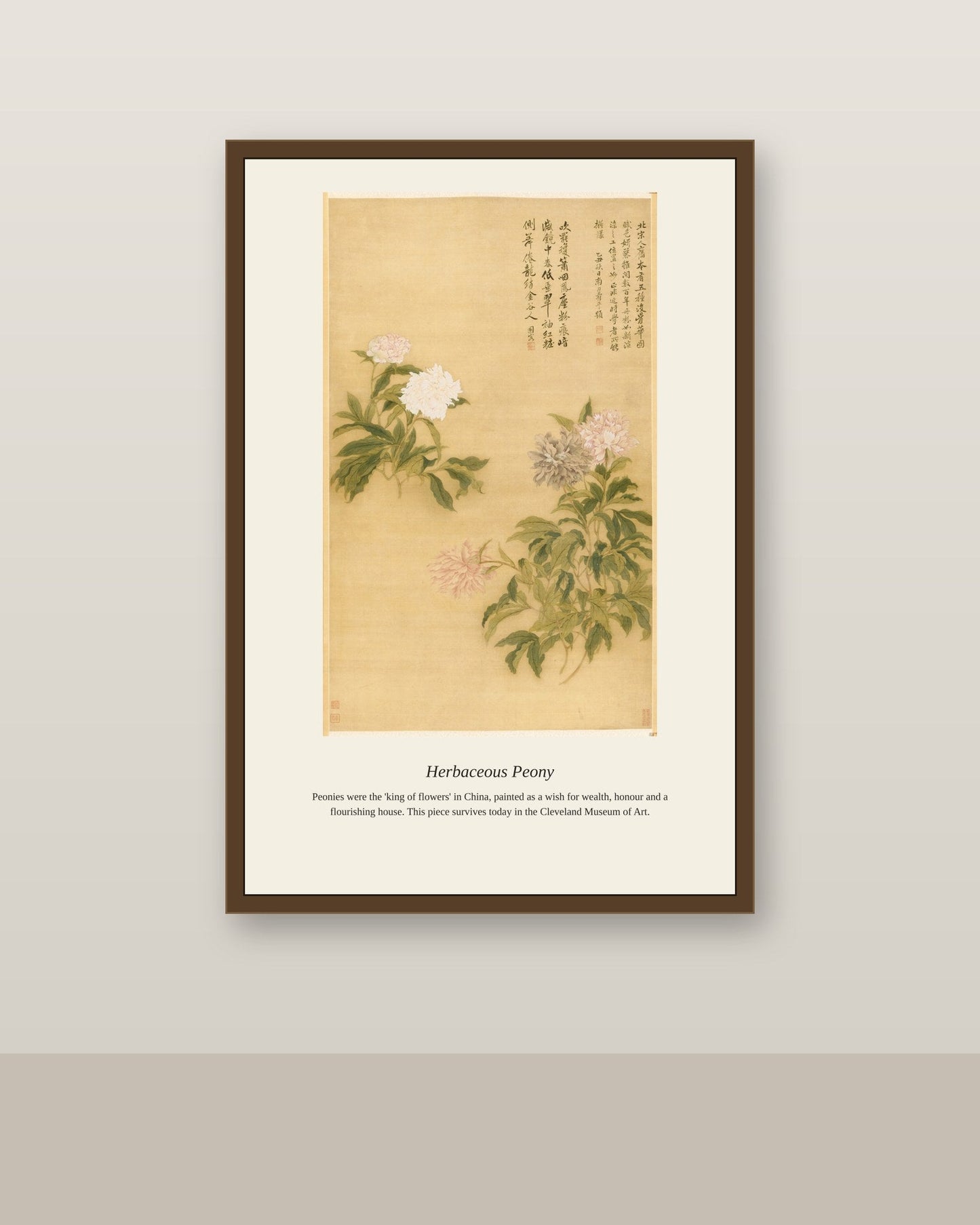 Herbaceous Peony antique botanical print shown framed on a wall in a styled room
